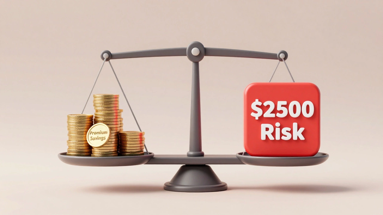 Scale balancing premium savings against high deductible risk